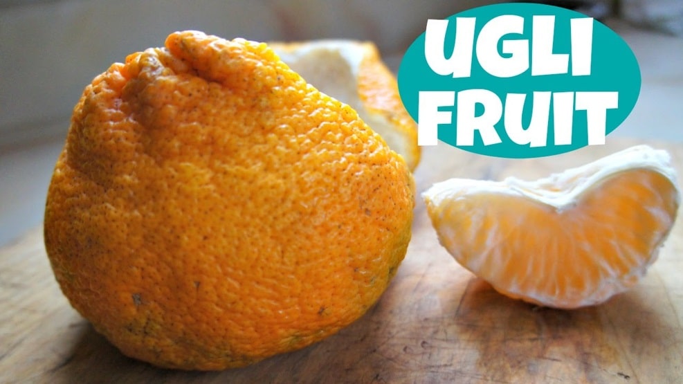 میوه چروکیده - Ugli Fruit