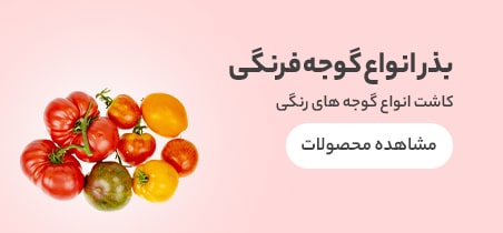 Tomato seed purchase banner