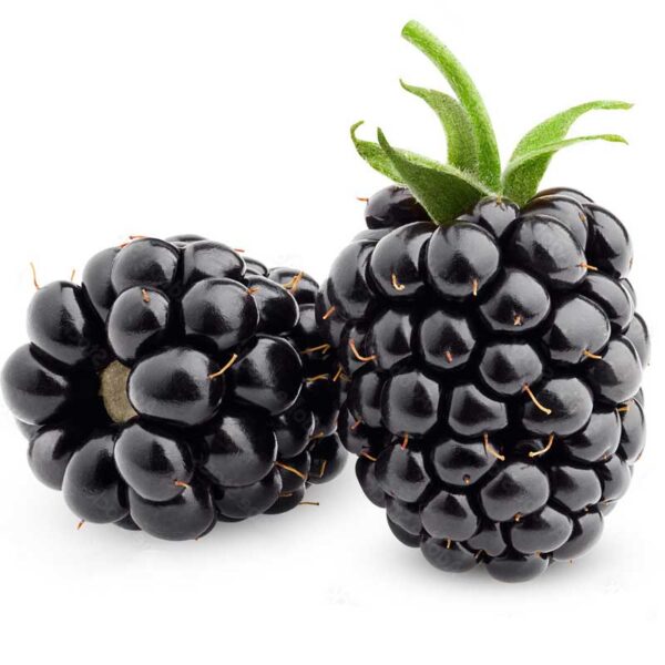 blackberry seed bazrco