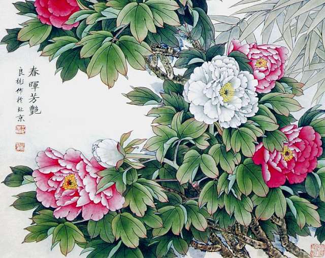 گل صد تومانی چینی یکی از گونه های بسیار زیبای گل های صدتومانی paeonia می باشد این گل  با نام علمی Paeonia lactiflora نیز شناخته می شود.دارای گلبرگ های بزرگ و زیبایی هست و در کشور چین جزو فرهنگ غنی این کشور بوده