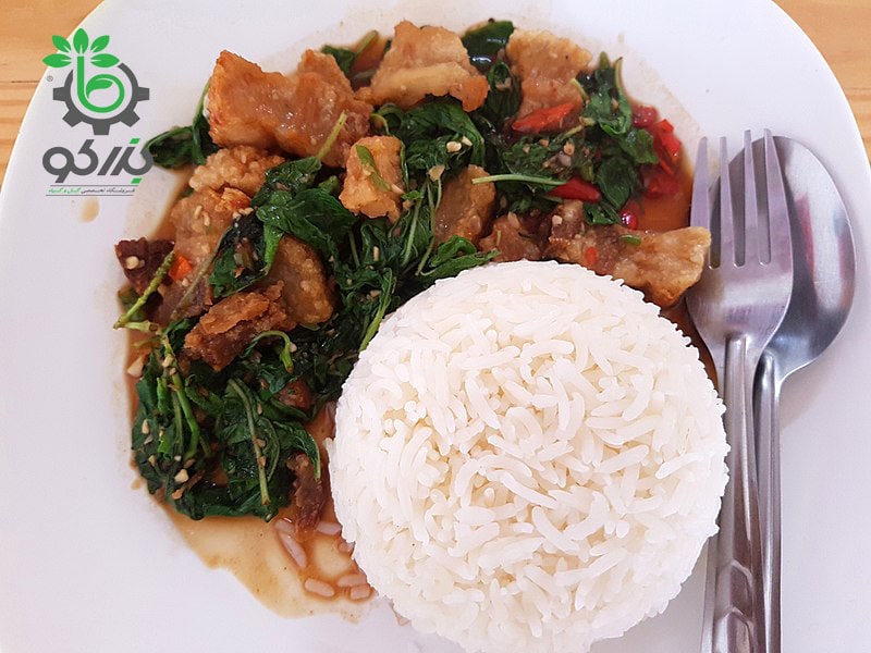 نمونه یک غذای پخته شده تایلندی با نام Phat kaphrao که با سبزی ریحان مقدس  تایلندی کاپرائو پخته می شود
