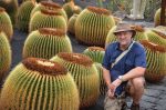 بذر اچینو کاکتوس گروزونی | echinocactus grusonii