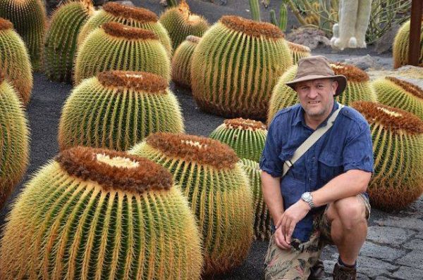 بذر اچینو کاکتوس گروزونی | echinocactus grusonii