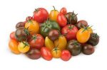 بذر انواع گوجه فرنگی زینتی (مینیاتوری چری زیتونی و گیلاسی)