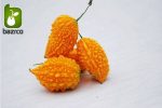 بذر میوه کمیاب جگر زلیخا یا خربزه جذامی (balsam pear)