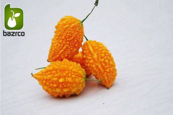 بذر میوه کمیاب جگر زلیخا یا خربزه جذامی (balsam pear)