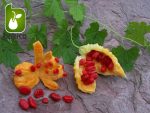 بذر میوه کمیاب جگر زلیخا یا خربزه جذامی (balsam pear)