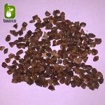 بذر سرو آریزونا یا سرو نقره ای یا سرو سیمین (Cupressus arizonica )