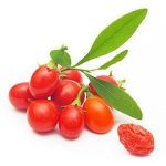 بذر میوه خوشمزه گوجی بری gojiberry یا wolfberry
