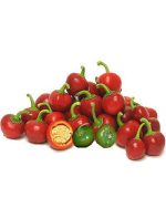 بذر وادراتی آمریکایی فلفل گیلاسی cherry peppers