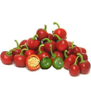 بذر وادراتی آمریکایی فلفل گیلاسی cherry peppers