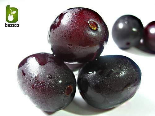 بذر درخت میوه Syzygium cumini یا Java plum (درخت جم یا جمبو)