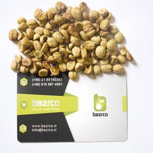 بذر درختچه میوه زالزالک زرد (Crataegus)