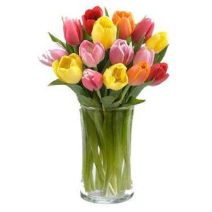 پیاز گل لاله الوان ایرانی (Tulip)