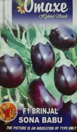 بذر کمیاب بادنجان یا بادمجان سونا بابو هندی (Brinjal Sona Babu)