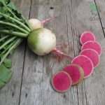 بذر تربچه گوشت قرمز یا تربچه هندوانه ای (Watermelon Radish)
