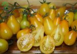 بذر گوجه فرنگی چری زرد گلابی یا گوجه لامپی (Yellow Pear Tomato)