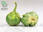 بذر بادمجان سبز آبلونگ لائوسی (Lao Green Stripe)
