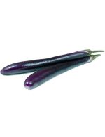 بذر بادمجان کشیده قلمی ژاپنی (Eggplant Long black)