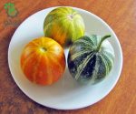 بذر میوه Dudaim Melon یا شمامه (ملون دودایم یا دستنبو دودایم)