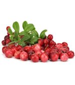 بذر میوه لینگون بری یا کوبری یا میوه مورد صحرایی قرمز (lingonberry)