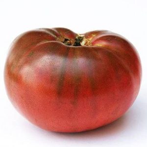 بذر کمیاب گوجه بنفش چروکی (cherokee purple tomato)