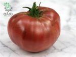 بذر کمیاب گوجه بنفش چروکی (cherokee purple tomato)