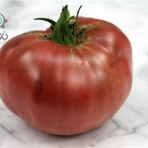 بذر کمیاب گوجه بنفش چروکی (cherokee purple tomato)
