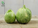 بذر کدوی خورشتی روند دینایس (Ronde De Nice Squash)