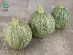 بذر کدوی خورشتی روند دینایس (Ronde De Nice Squash)