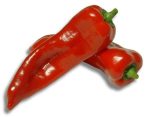 بذر فلفل شیرین کاپی قرمز  Red Sweet kapia Pepper