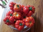 بذر گوجه فرنگی مارماندی  (Tomato Marmande)