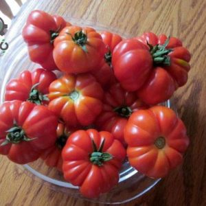 بذر گوجه فرنگی مارماندی  (Tomato Marmande)