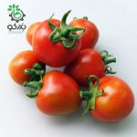 بذر گوجه فرنگی گیلاسی واشنگتن ارگانیک (Washington Cherry Tomato Seeds)
