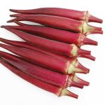 بذر بامیه قرمز کبود (Red Burgundy Okra Seeds)