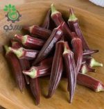 بذر بامیه قرمز کبود (Red Burgundy Okra Seeds)