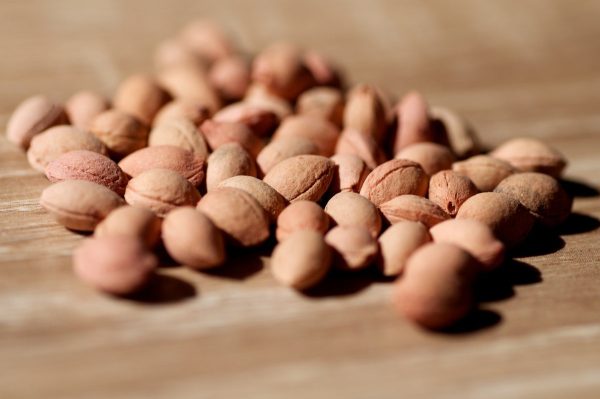 بذر sakura (شکوفه گیلاس)