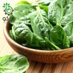 بذر بیبی اسفناج گرین 7 هیبرید | Spinach 7 green seeds