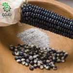 بذر ذرت آبی پترسون | Petersen Blue Organic Corn Seed