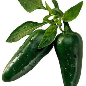 بذر فلفل هالوپینو یا فلفل مکزیکی تند جالاپنو  Jalapeno Chilli Pepper Seeds