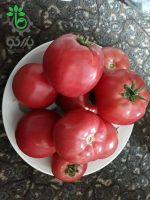 بذر گوجه فرنگی صورتی درشت  Pink Tomato seeds