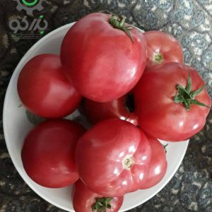 بذر گوجه فرنگی صورتی درشت  Pink Tomato seeds