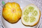 بذر خیار لیمویی  Lemon Cucumber seeds