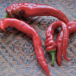 بذر فلفل موزی شیرین  Sweet Banana Pepper Seeds
