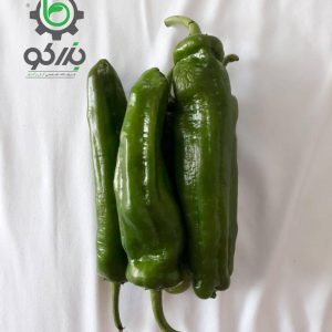 بذر فلفل سبز شیرین کوی Pepper koy seeds