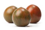 بذر گوجه فرنگی زبرا قهوه ای چری  Brown ZebraTomato seeds