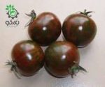 بذر گوجه فرنگی زبرا قهوه ای چری  Brown ZebraTomato seeds