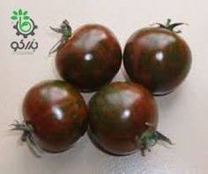 بذر گوجه فرنگی زبرا قهوه ای چری  Brown ZebraTomato seeds