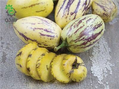بذر میوه عجیب پپینو ملون | Solanum muricatum | pepino dulce