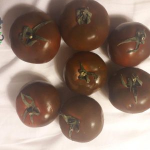 بذر گوجه فرنگی گوشتی قهوه ای Brown Tomato seeds